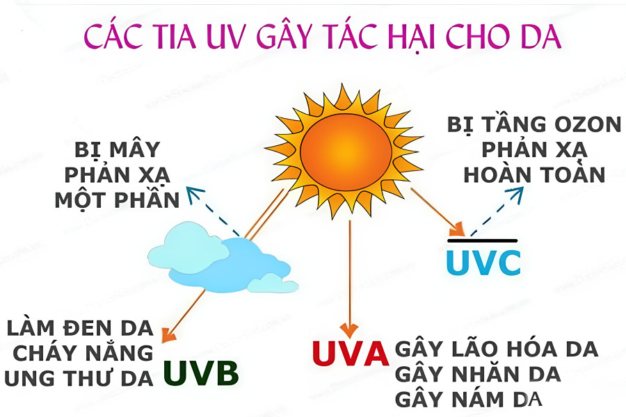 Tia UV có tác hại gì?