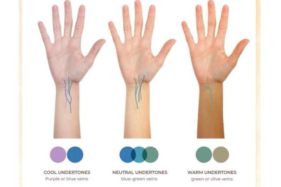 Phân biệt tone da với sắc tố da (undertone)