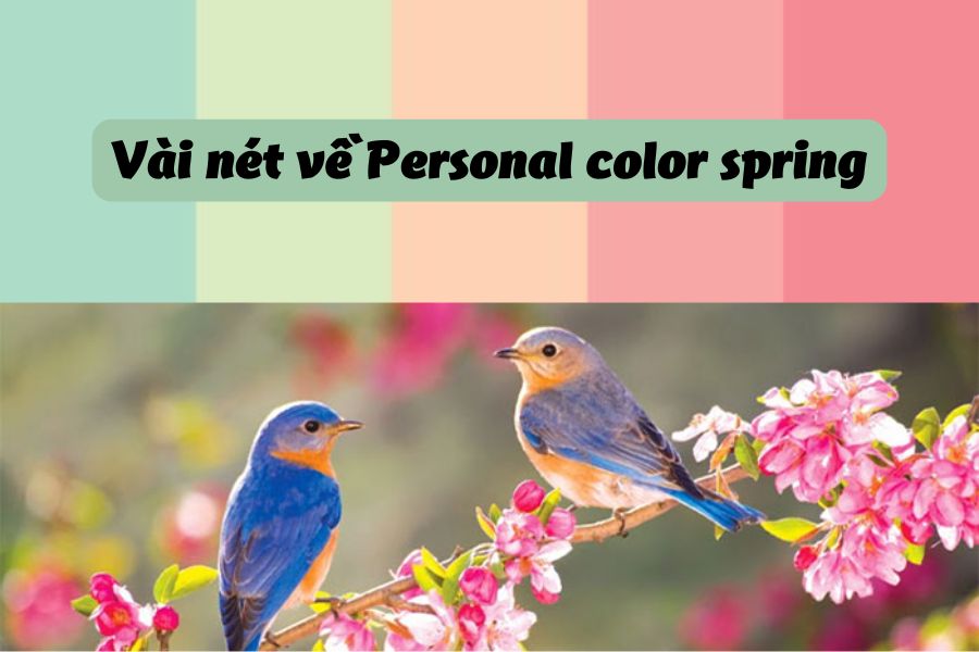 Vài nét về Personal color spring