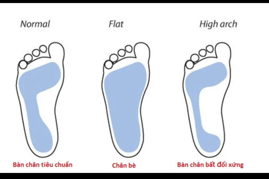Bề rộng của bàn chân