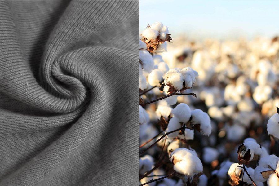 Vải Bông (Cotton)