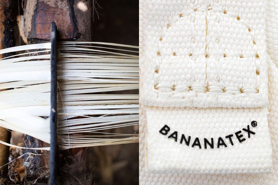 BANANATEX® là vải bền vững từ cây chuối Abacá - một loài cây bản địa của Philippin