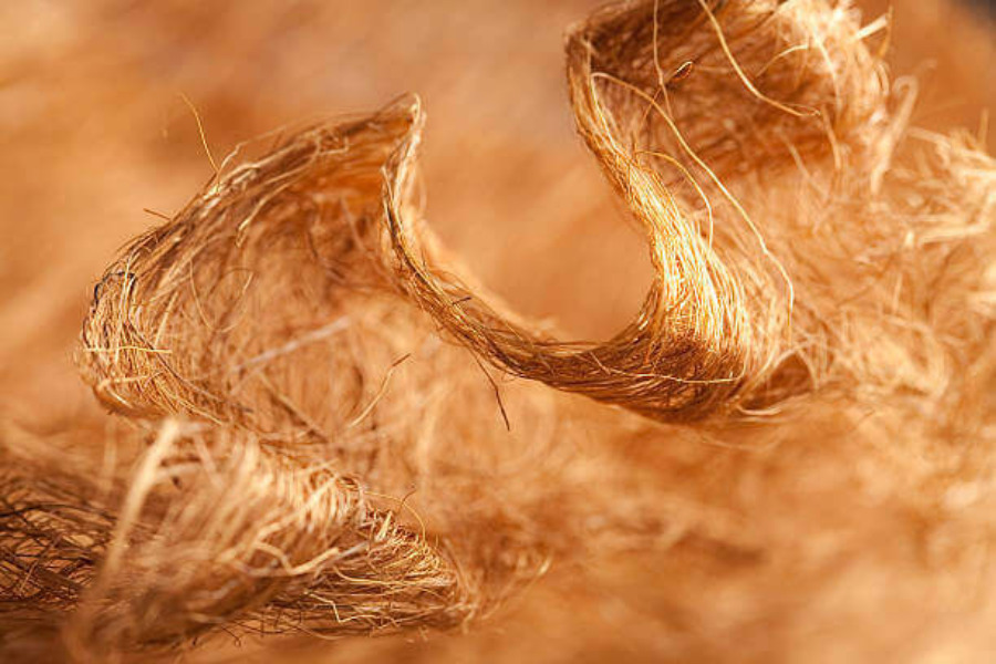 Cellulose là 1 dạng sợi tái sinh với nguồn gốc từ thực vật như xơ bông, bột gỗ,…. 