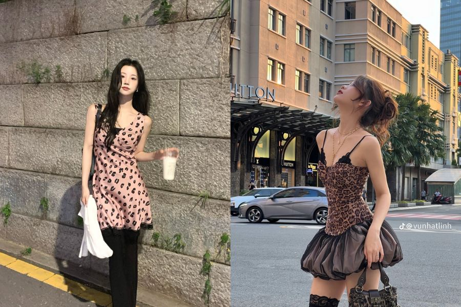 Sức hút của những đốm báo hay vằn ngựa chưa bao giờ có dấu hiệu hạ nhiệt