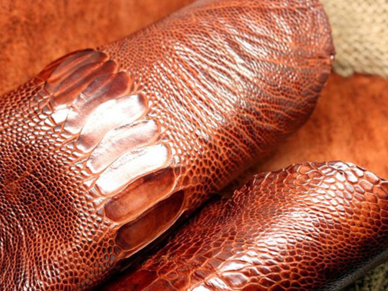 What Is Ostrich Leather? The Most Popular Applications Of Ostrich Leather Today