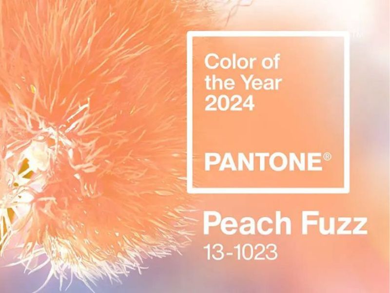 Xu hướng bảng màu pantone của năm 2024 - Peach Fuzz (Hồng đào) 