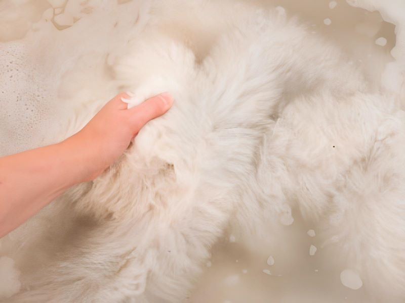 Giặt vải lông thú giả faux fur bằng tay