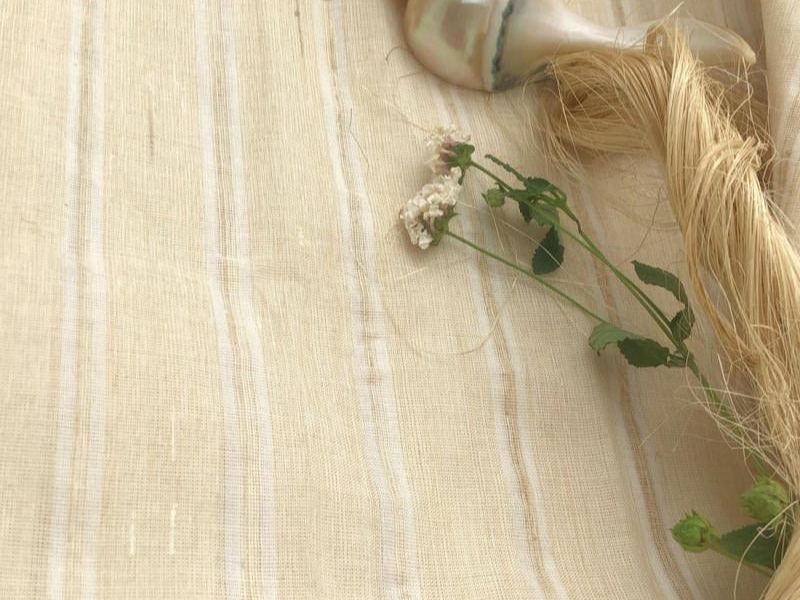  Advantages Of Banana Fiber Fabric 