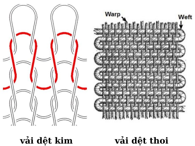 Phân biệt dệt kim và dệt thoi bằng sự quan sát thớ vải