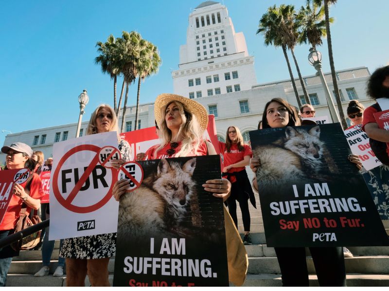 Fur free là gì?