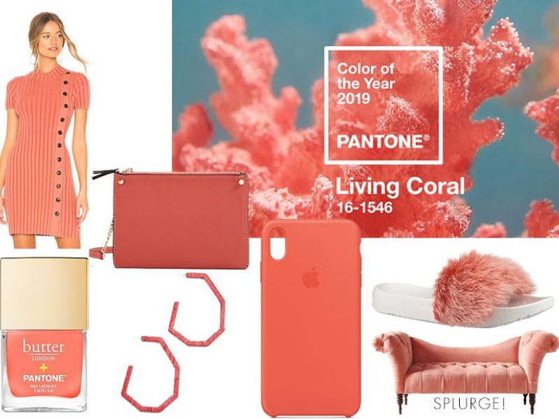 Một số nhà thiết kế hàng đầu trên thế giới đã lựa chọn màu Living Coral của Pantone để áp dụng vào các sản phẩm của họ.