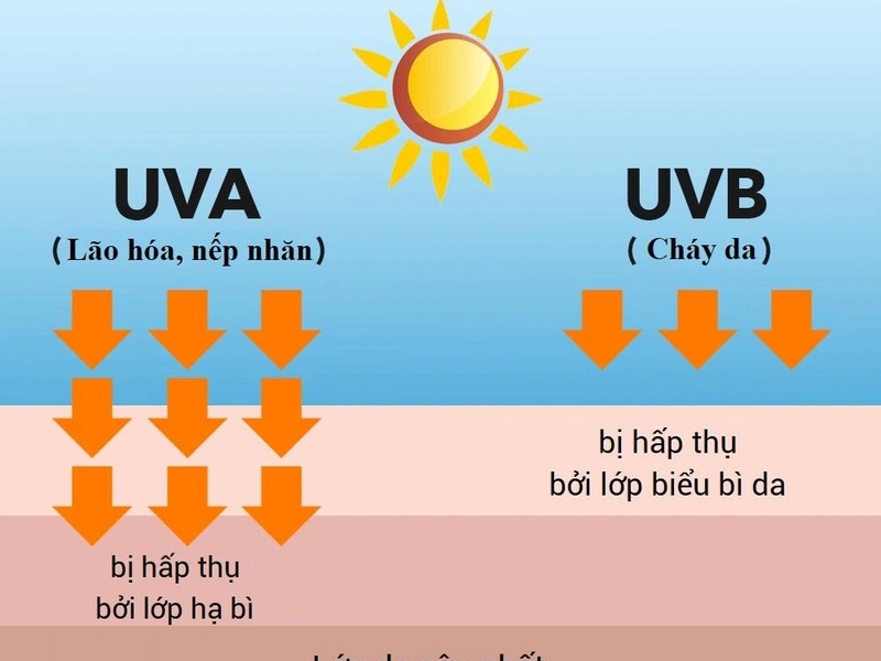 Các yếu tố ảnh hưởng đến độ mạnh yếu của tia UV