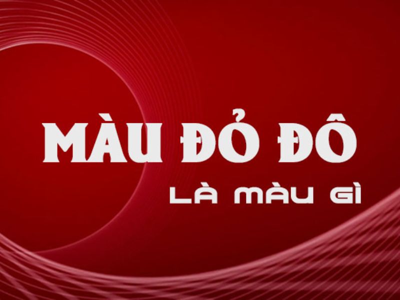 Màu đỏ đô là màu gì?