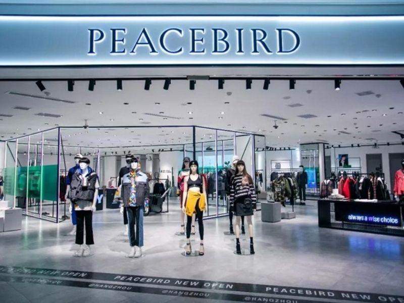 Local Brand Peacebird Trung Quốc nổi bật