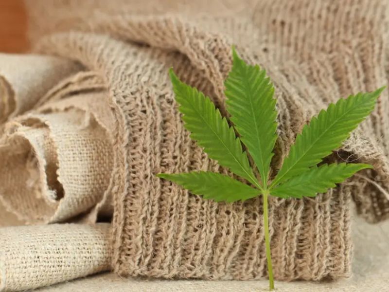 Vải Hemp sau khi thành phẩm