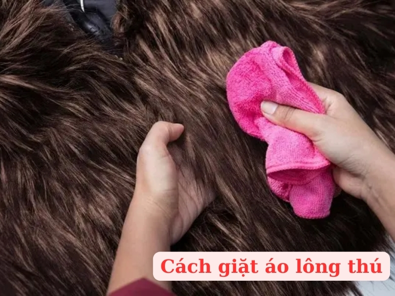 Cách giặt áo lông thú