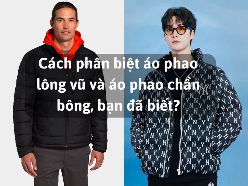 Phân biệt áo phao lông vũ và áo phao chần bông khác nhau như thế nào? 