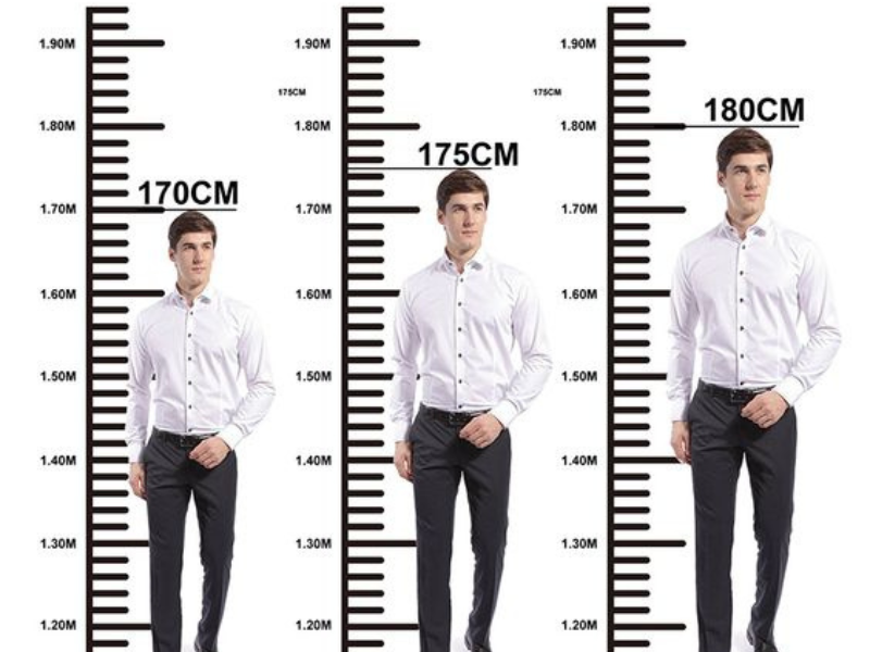 Height Chart Reference Centimeters Drawing Rainyweathers