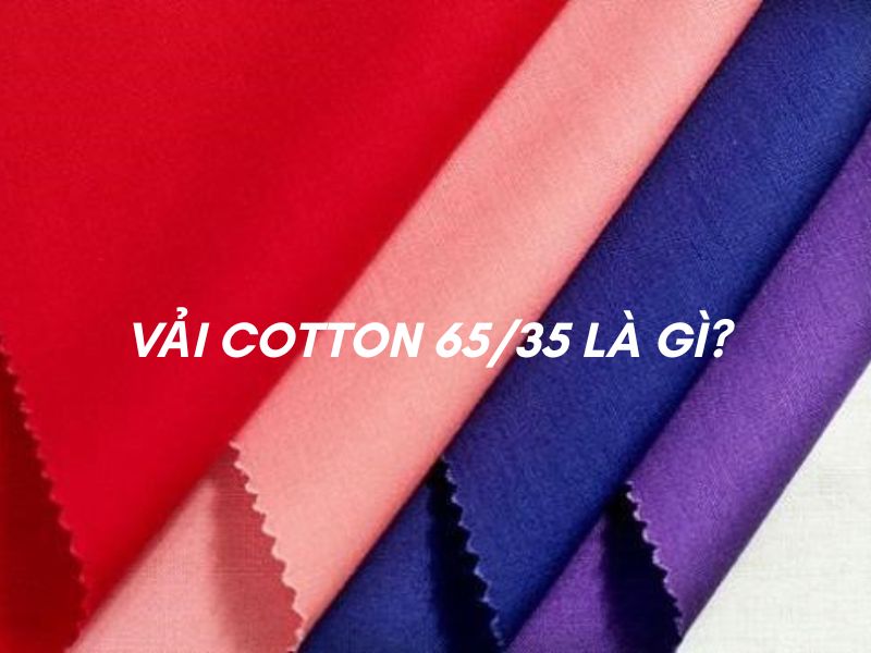  Cotton 65/35 (CVC) được tạo ra để thay thế vải Cotton 100%