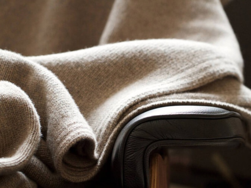 Vải len Cashmere được lấy từ sợi lông tơ của dê