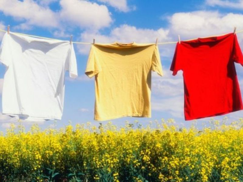 Sunlight And High Temperatures Cause Fading Of Colored Cotton Fabrics.