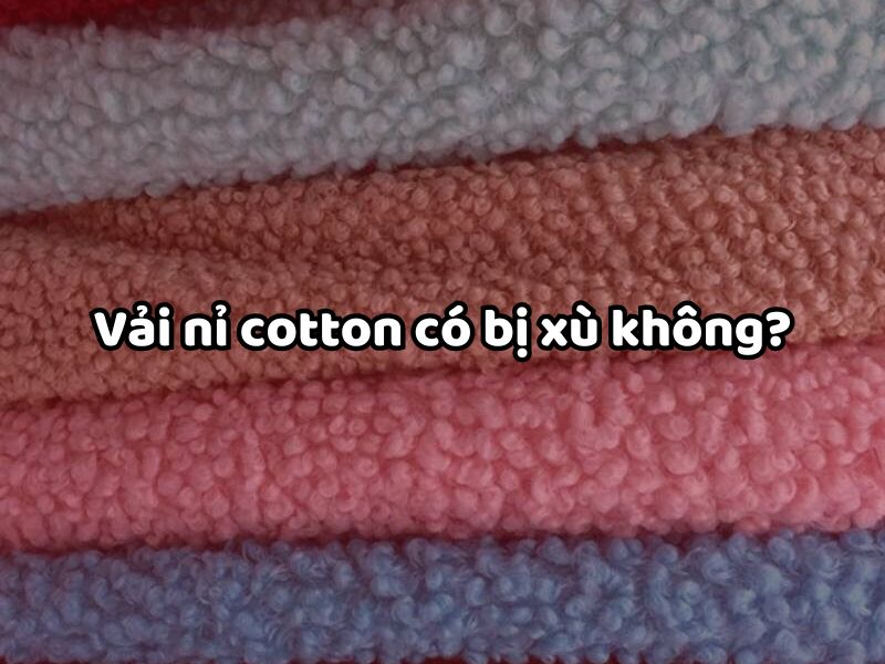 Vải nỉ cotton có bị xù không?