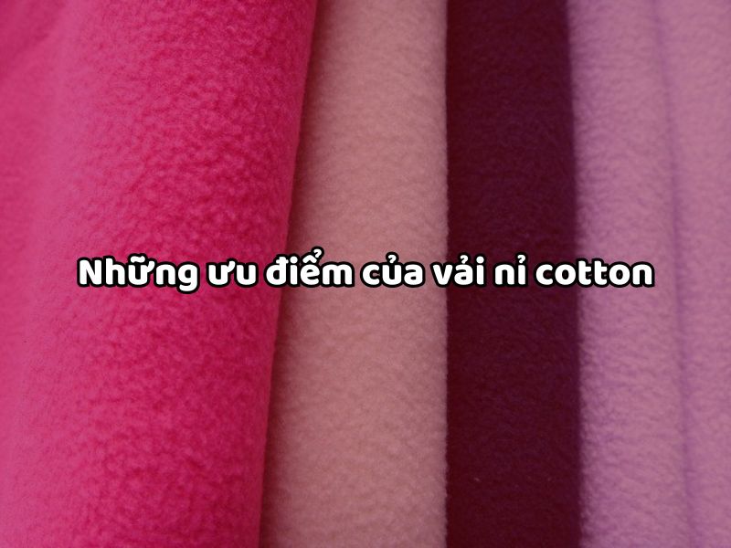 Những ưu điểm của vải nỉ cotton