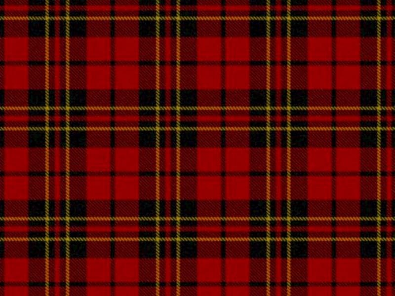 Plaid hay Tartan là họa tiết kẻ sọc phổ biến nhất