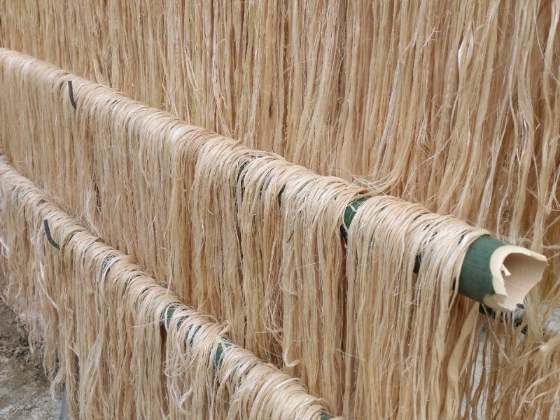 Banana Fiber Fabric Production Process 