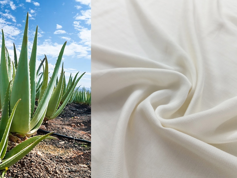 What Is Aloe Vera Fabric? Characteristics And Applications Of Aloe Vera Fabric?