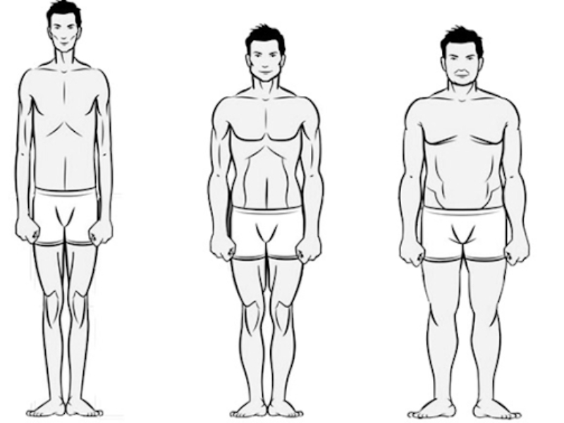 Cách xác định dáng người dựa trên tỉ lệ cơ thể