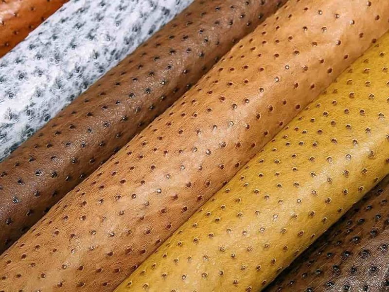 Outstanding Advantages Of Ostrich Leather