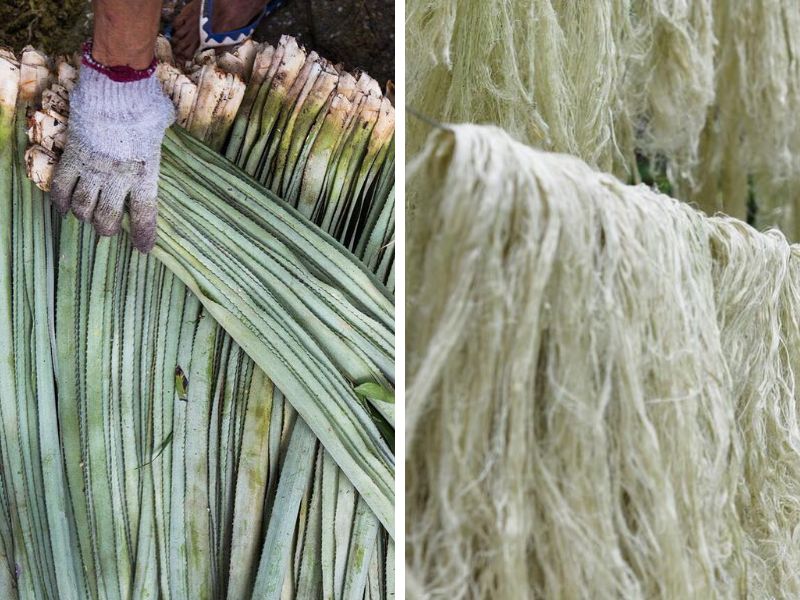 Pineapple Fiber Fabric Production Process