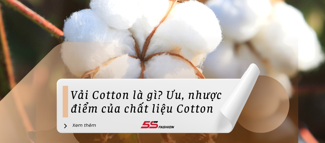 Vải Cotton USA là gì? Ưu, nhược điểm và ứng dụng của Cotton USA - ONOFF